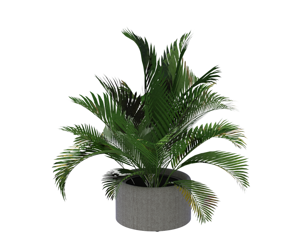 BuzziPlanter-80S BuzziPlanter-80S