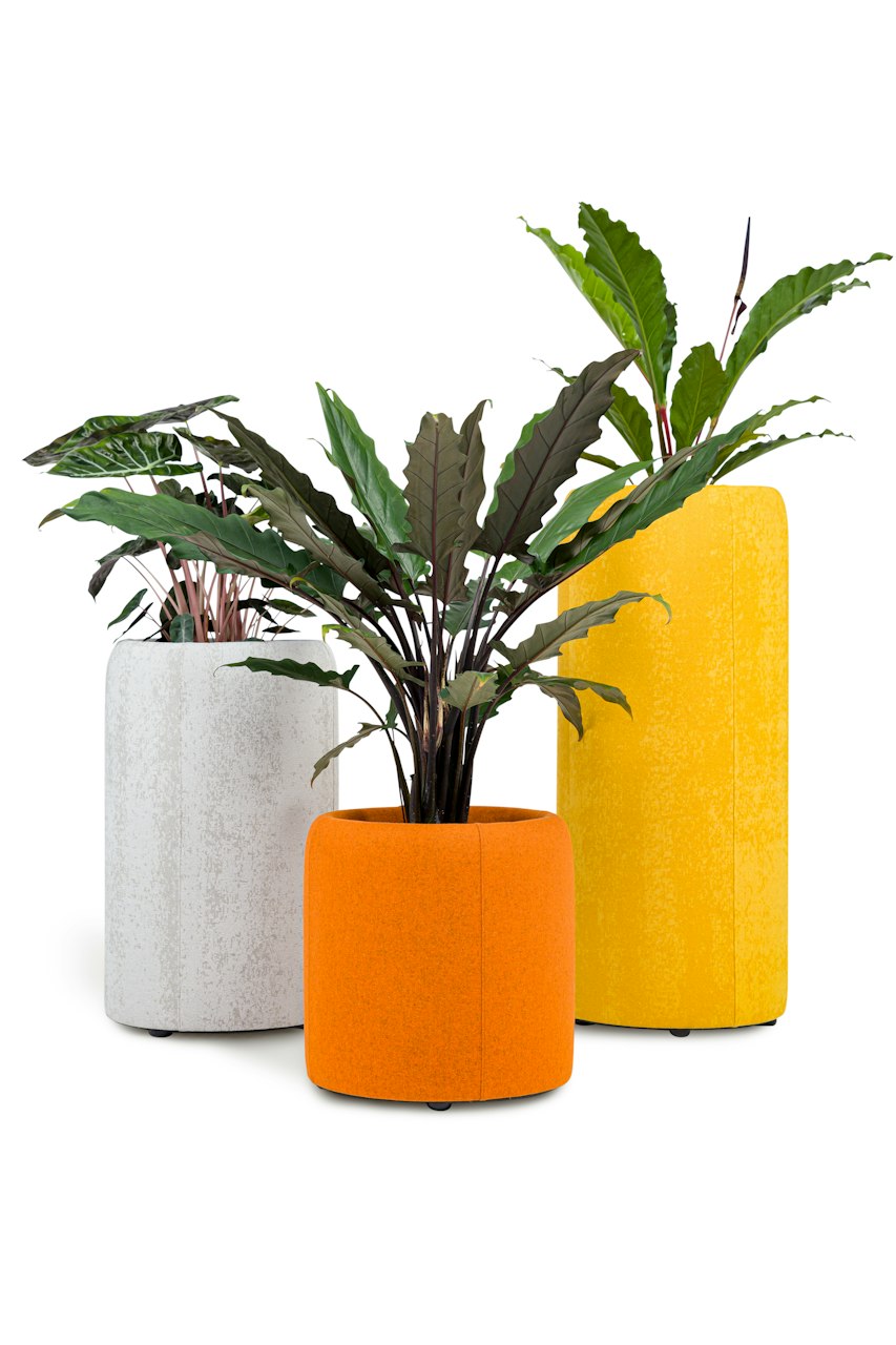 BuzziSpace buzziplanter acoustic room divider table planter biophilia