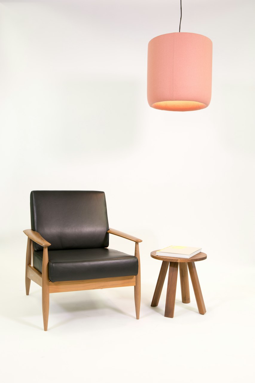 BuzziSpace Buzziprop acoustic lighting retrofit globe spot