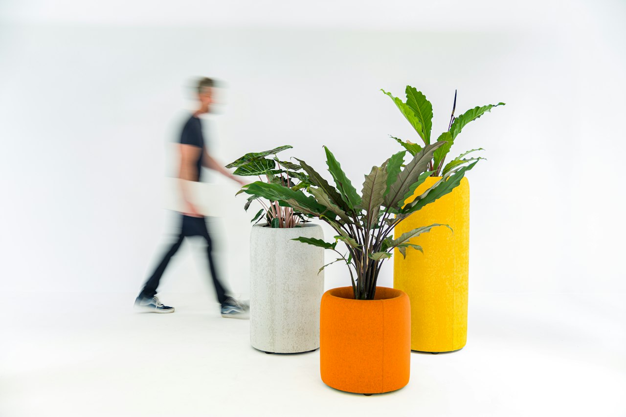 BuzziSpace buzziplanter acoustic room divider table planter biophilia