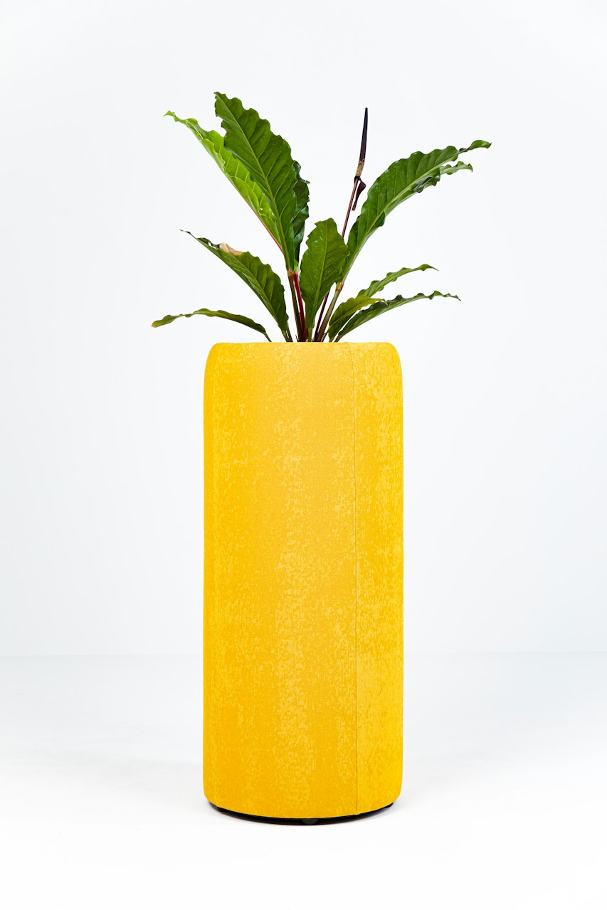 BuzziSpace buzziplanter acoustic room divider table planter biophilia