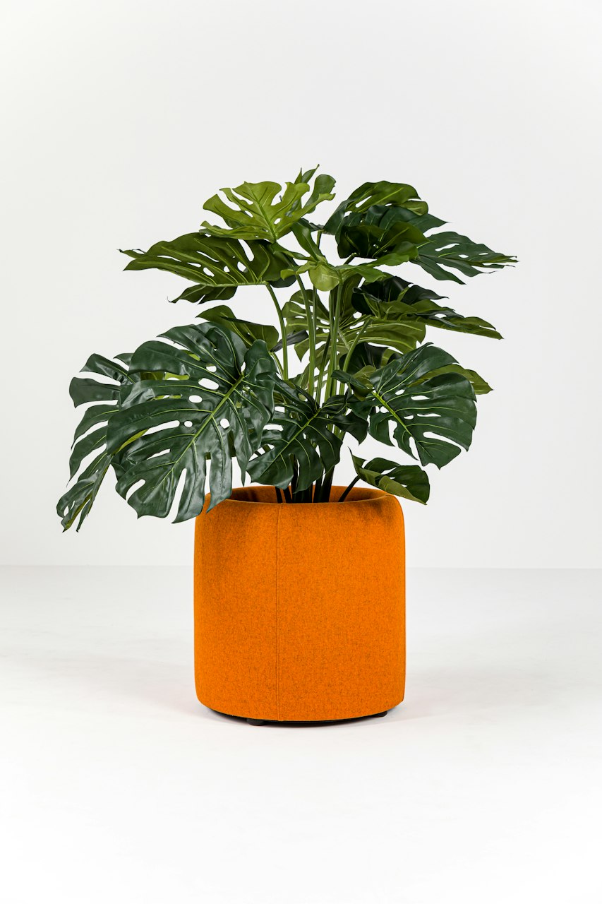 BuzziSpace buzziplanter acoustic room divider table planter biophilia