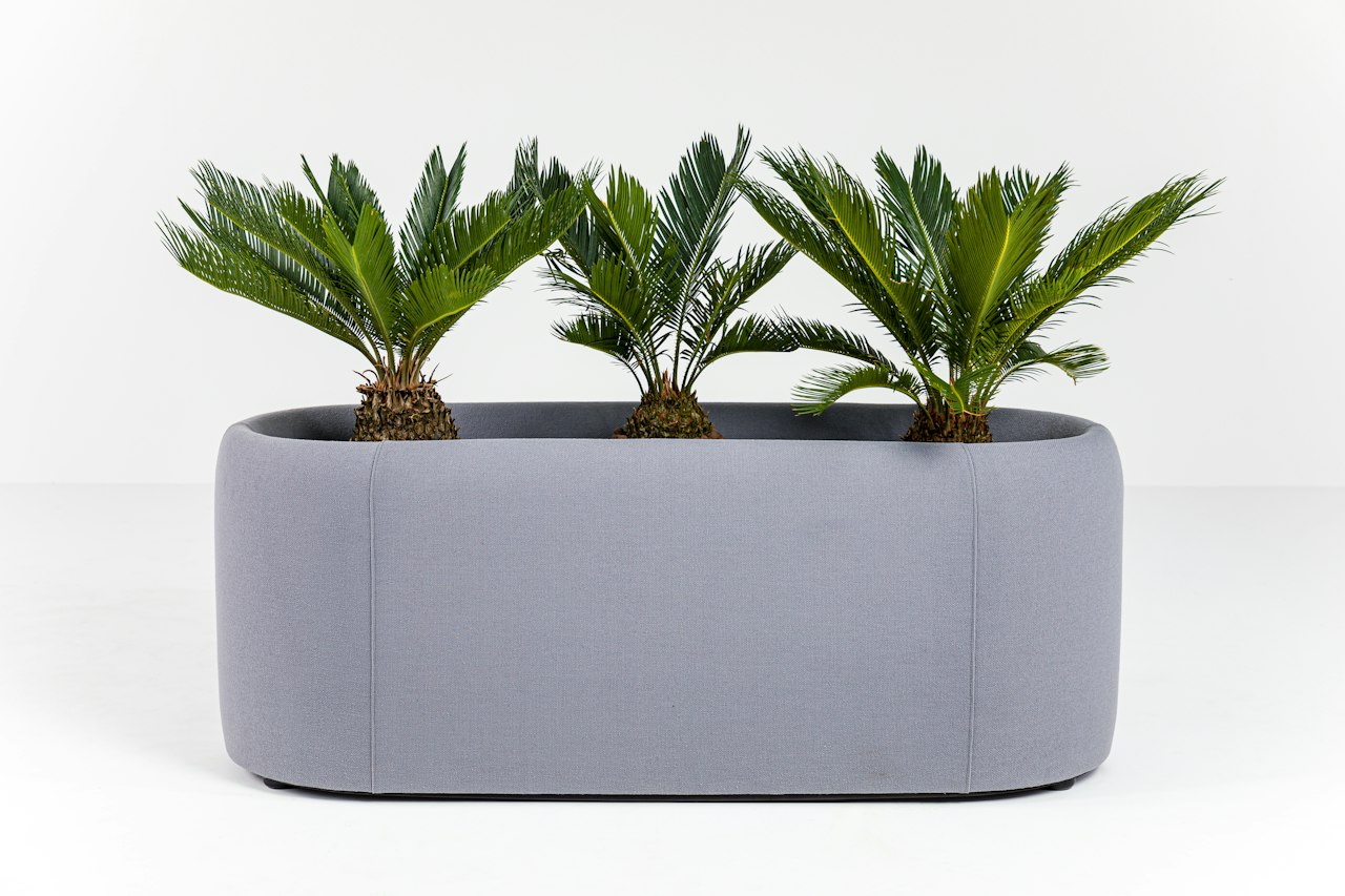 BuzziSpace buzziplanter acoustic room divider table planter biophilia