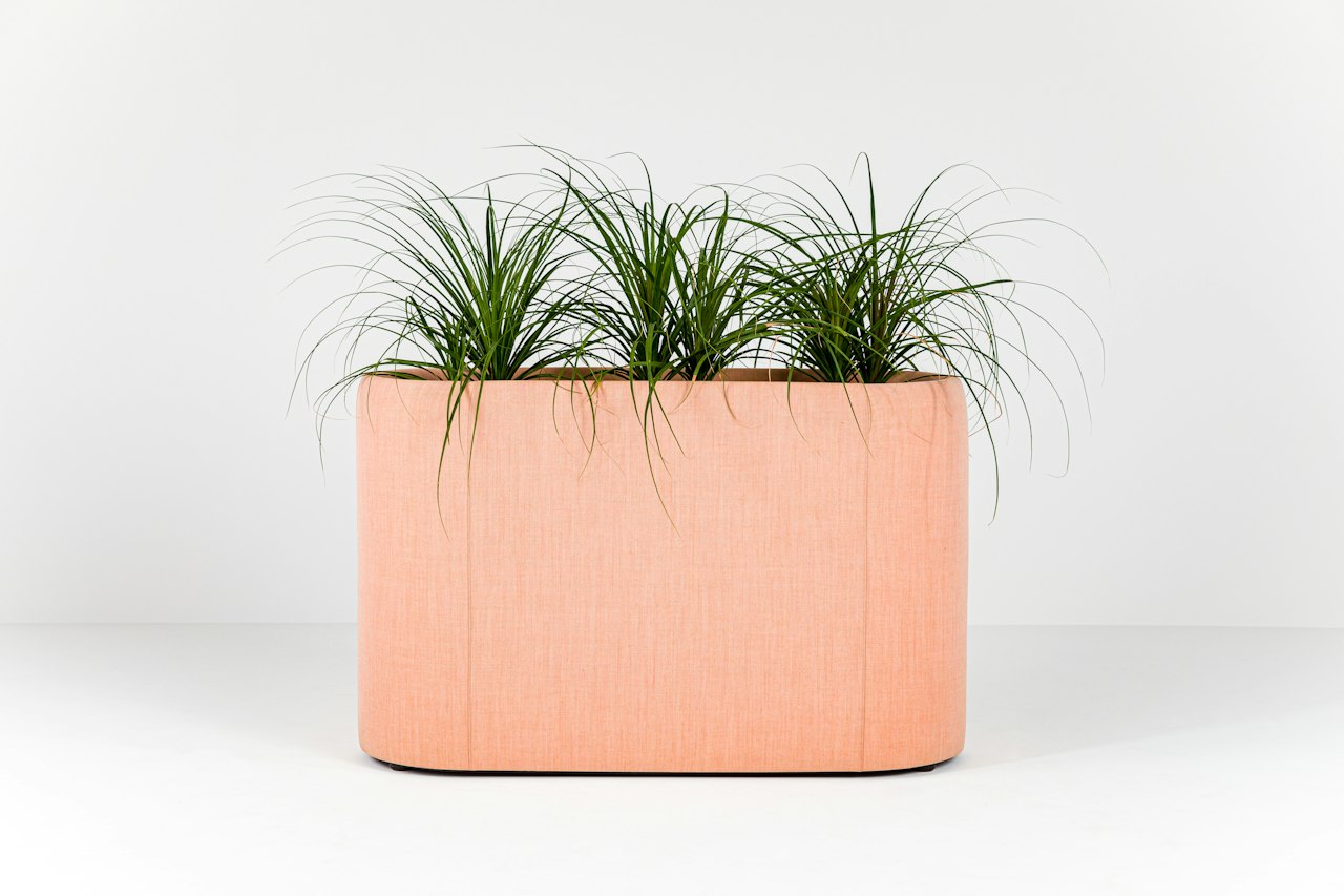 BuzziSpace buzziplanter acoustic room divider table planter biophilia