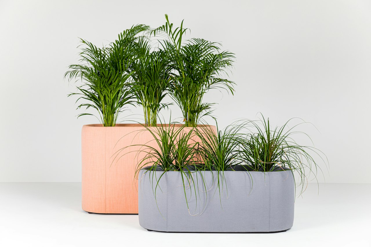 BuzziSpace buzziplanter acoustic room divider table planter biophilia