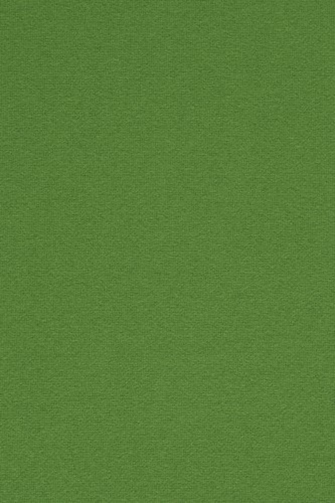 Elastic fabric in green