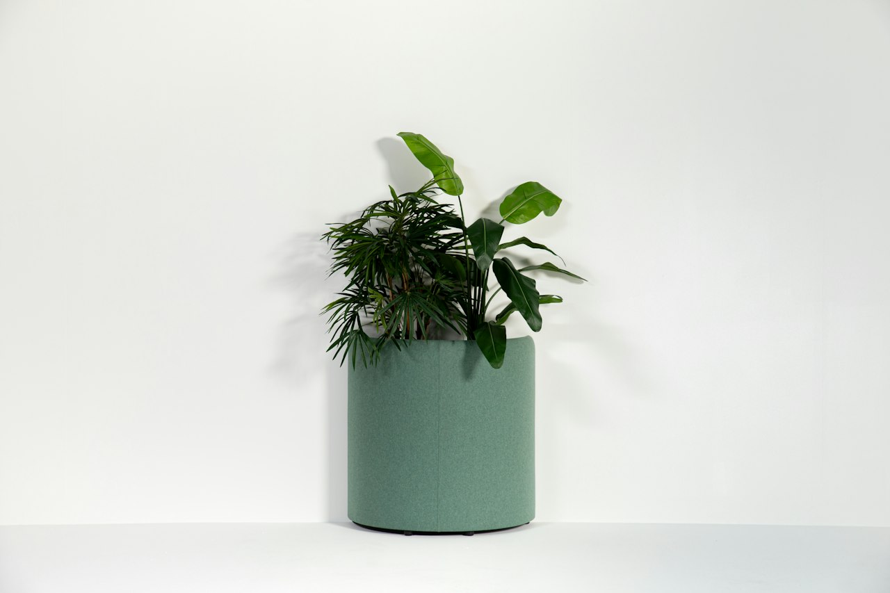 BuzziSpace buzziplanter acoustic room divider table planter biophilia