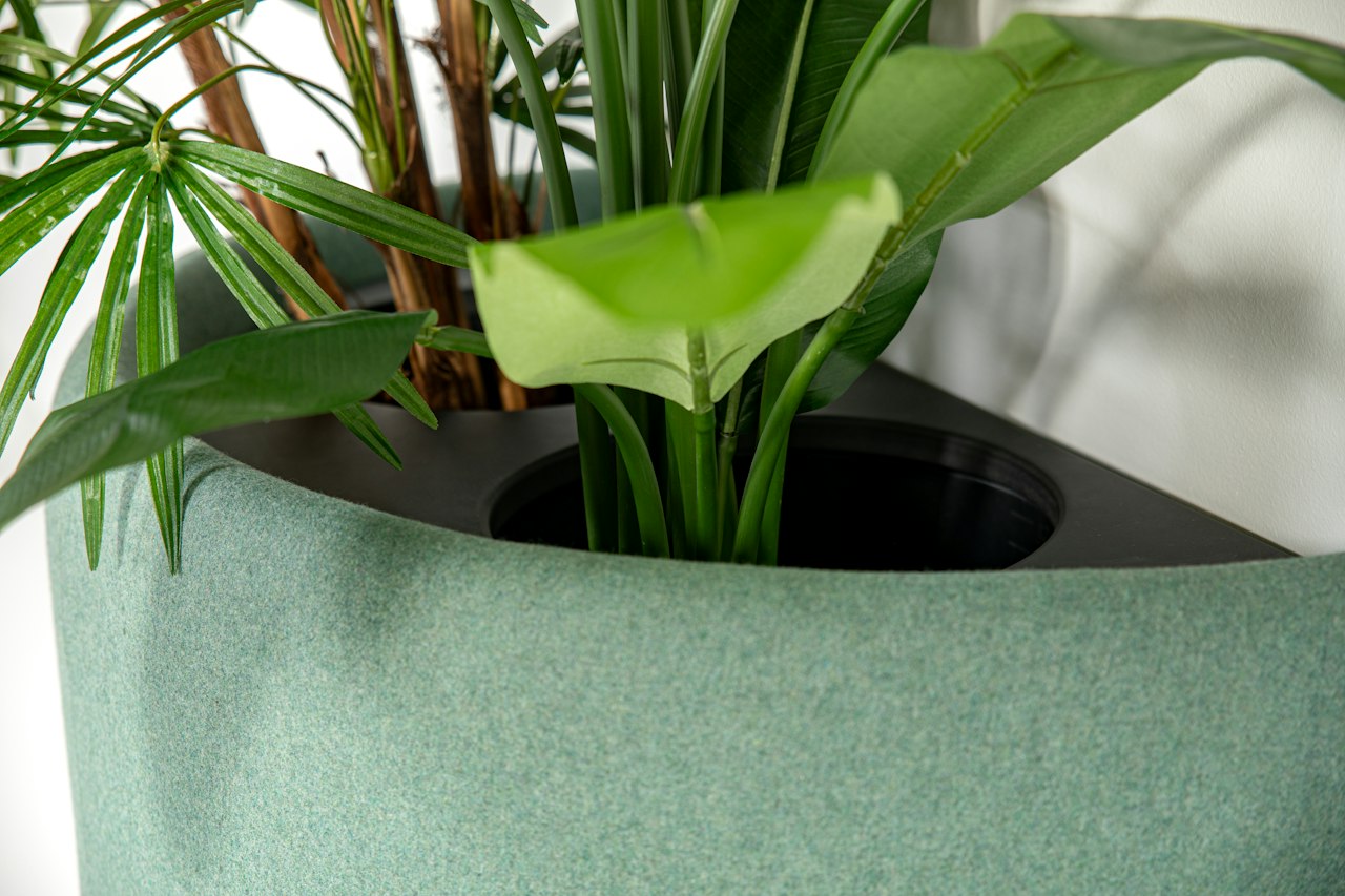BuzziSpace buzziplanter acoustic room divider table planter biophilia