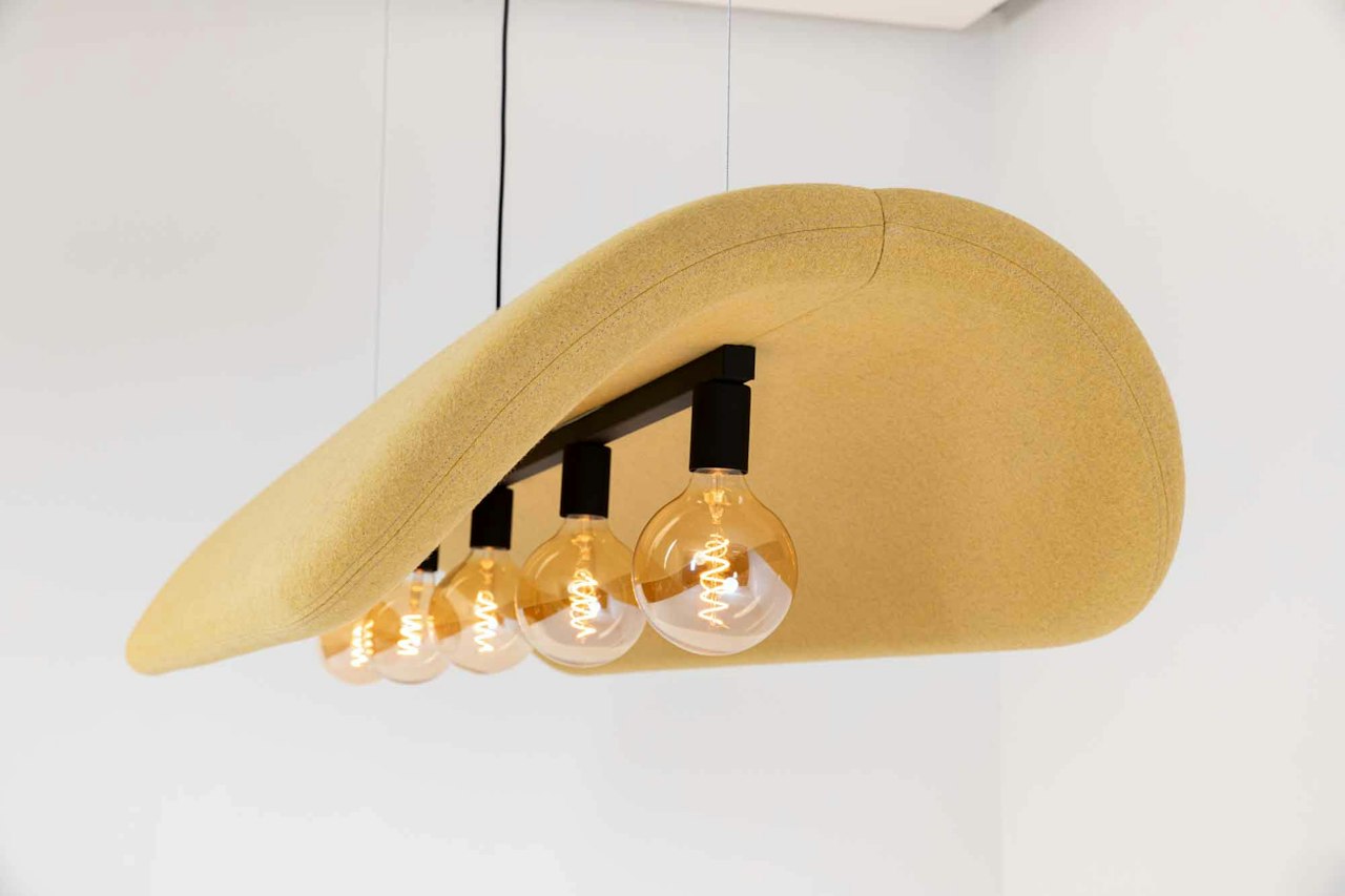 BuzziSpace Buzzisol retrofit